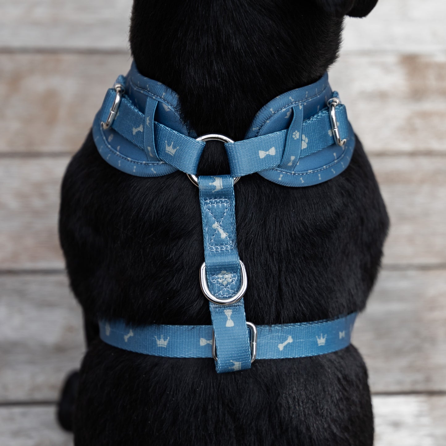 Classic Harness - Toby Print