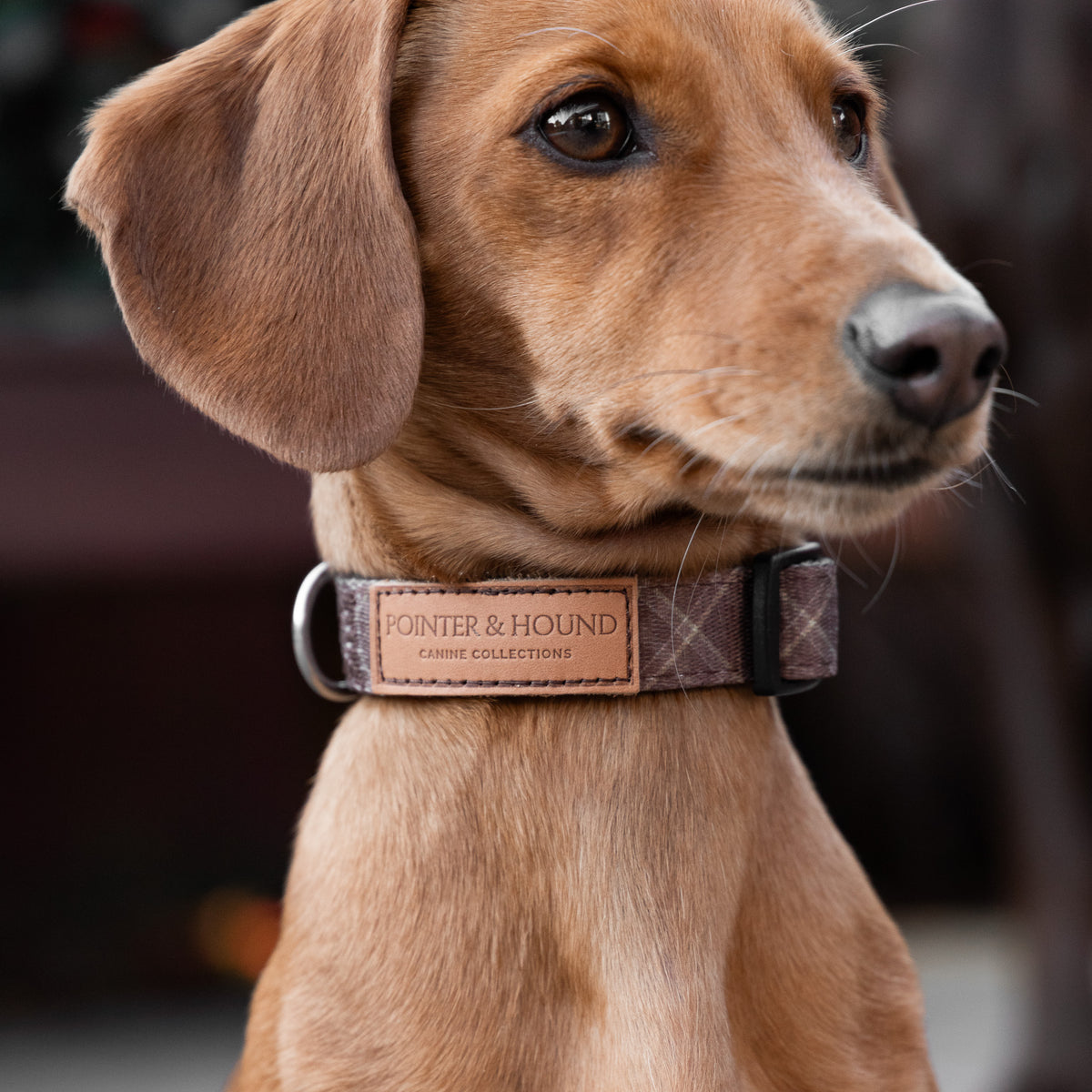 Signature Collar - Brown Tartan – Pointer & Hound