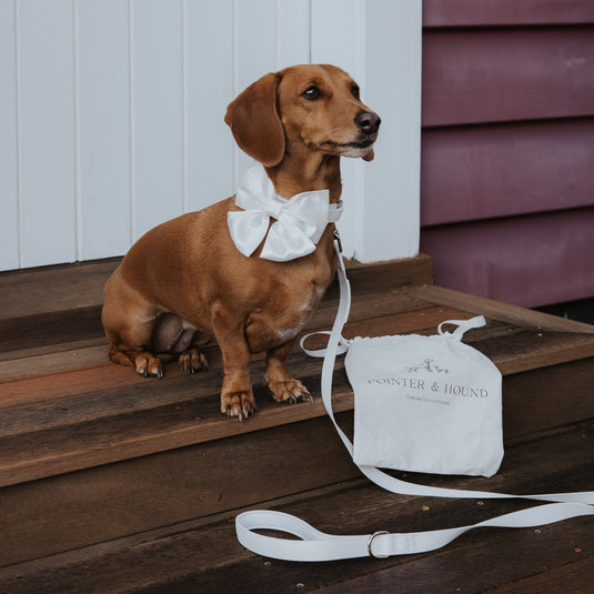 About Us – Pointer & Hound