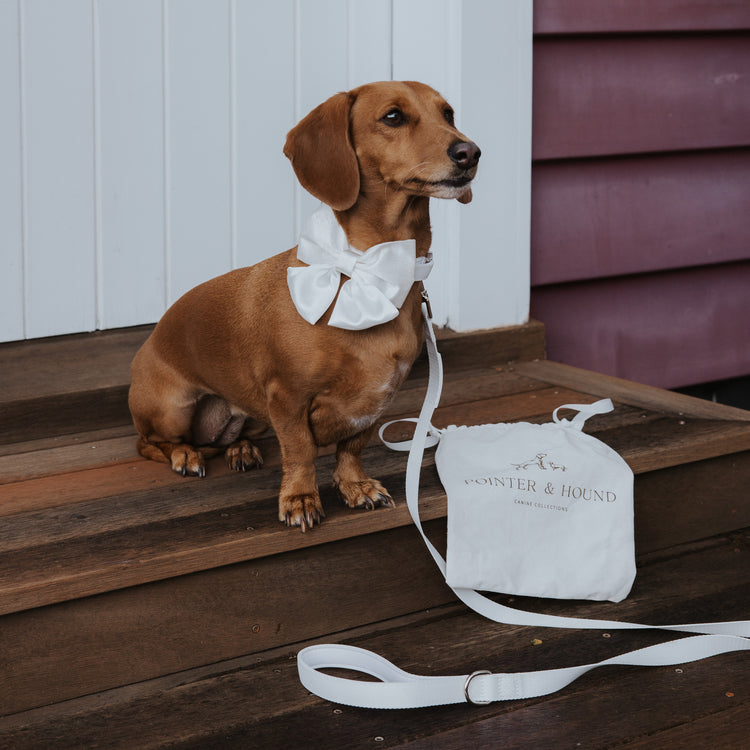 About Us – Pointer & Hound