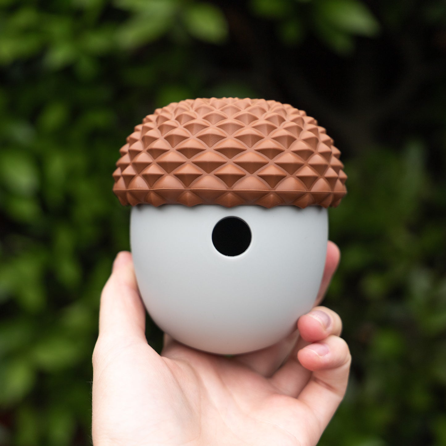 Acorn Toy