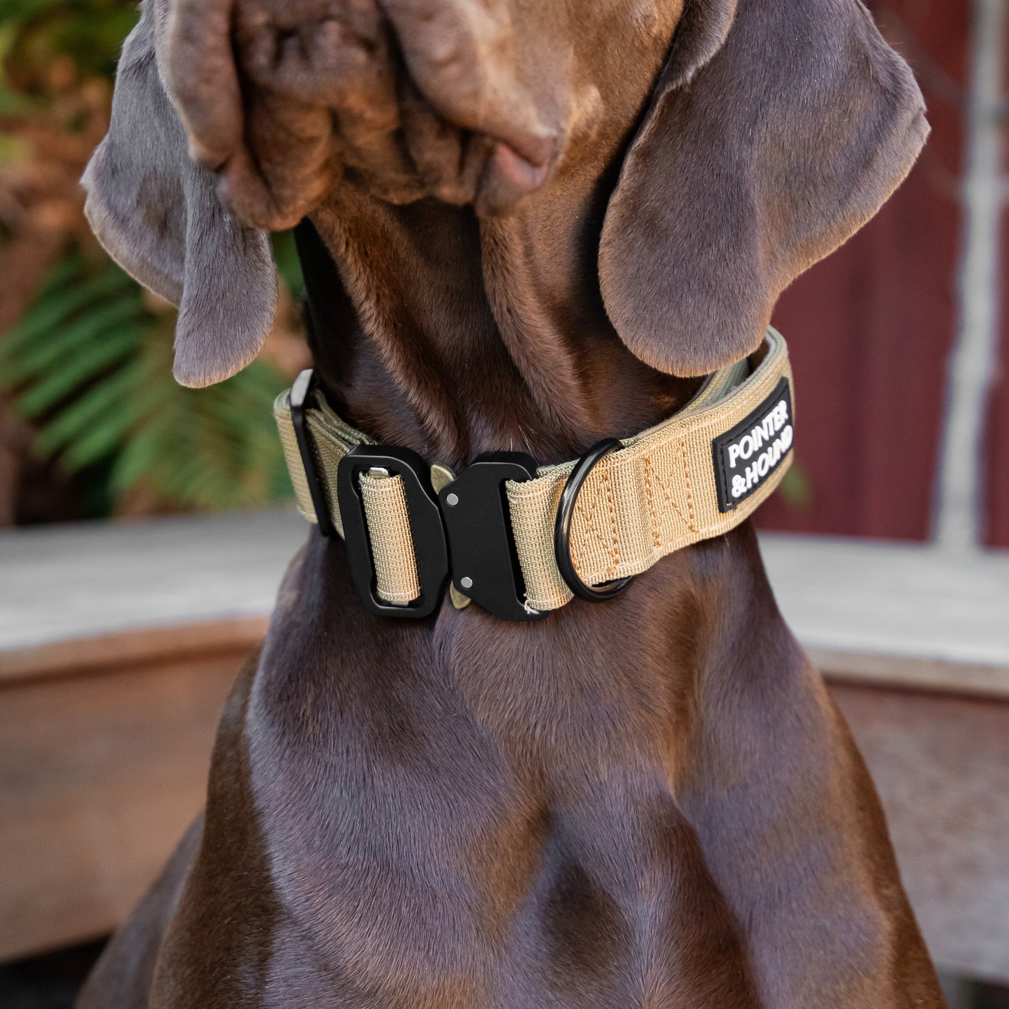 Tactical Collar - Tan