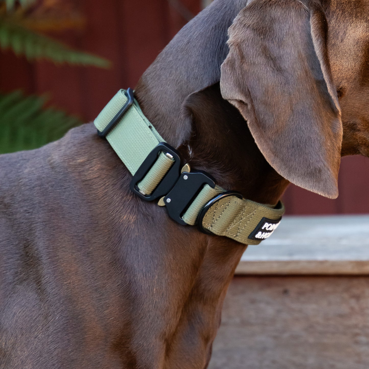 Tactical Leash - Green