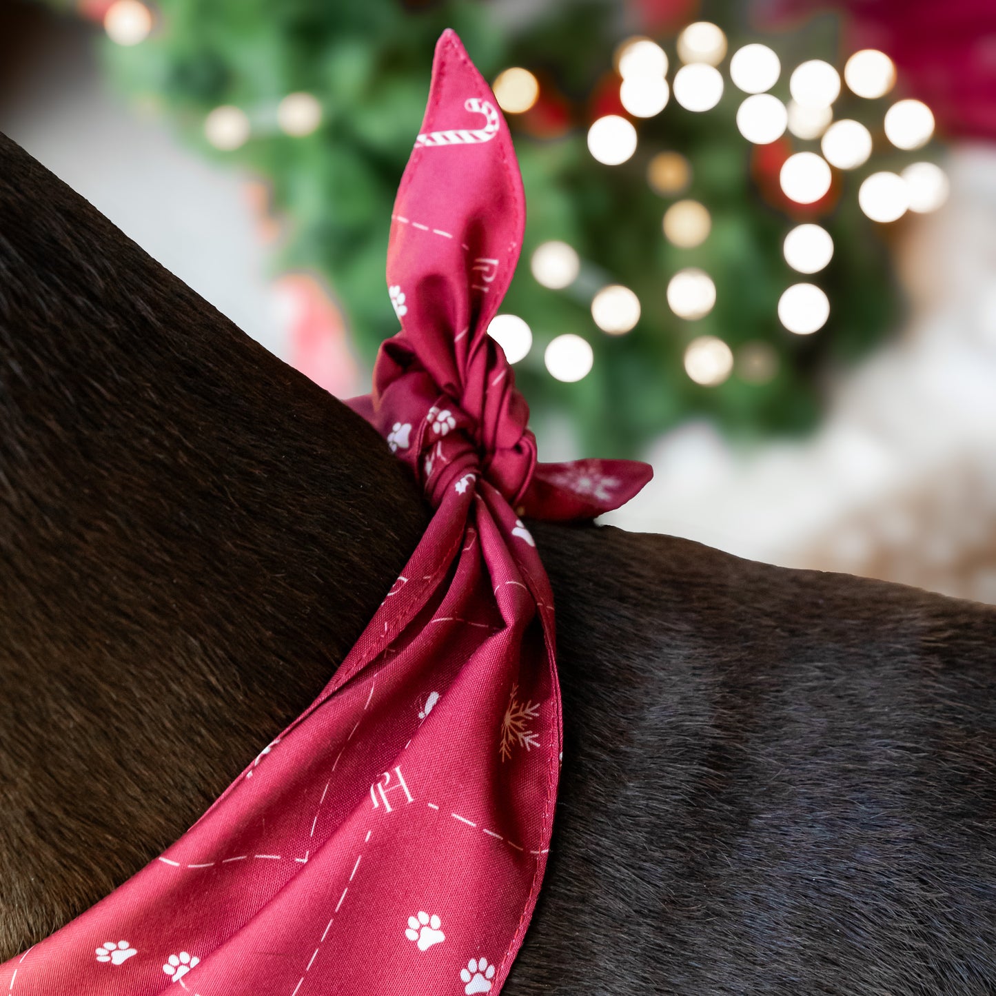 Christmas Bandana