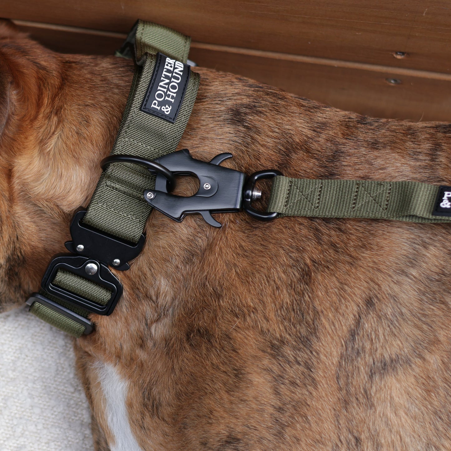 Tactical Collar + Leash Combo - Army Green