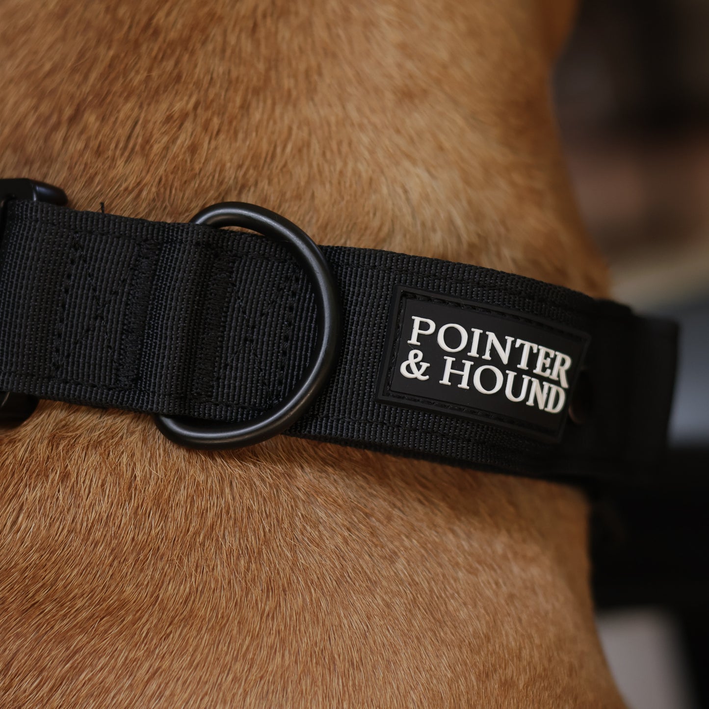 Tactical Collar - Black