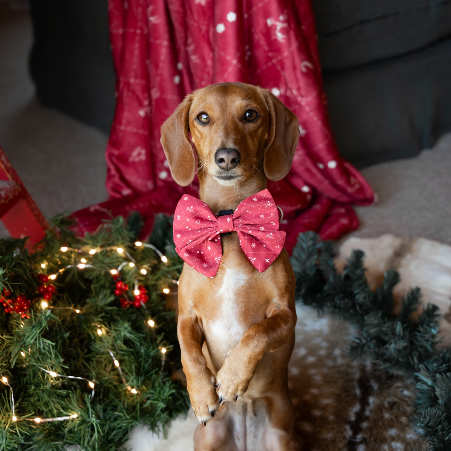 Christmas Bow Tie