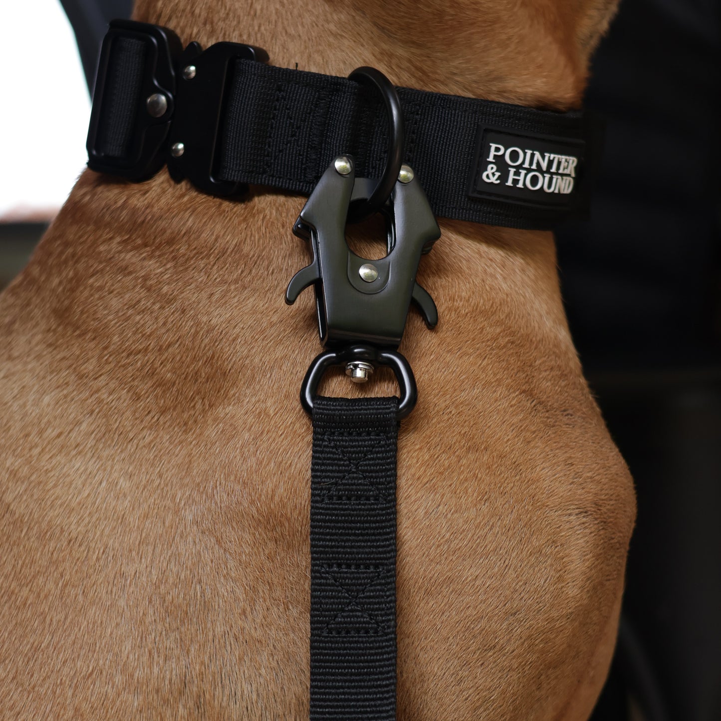Tactical Collar + Leash Combo - Black
