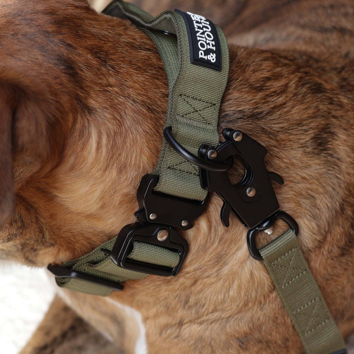 Tactical Collar + Leash Combo - Army Green