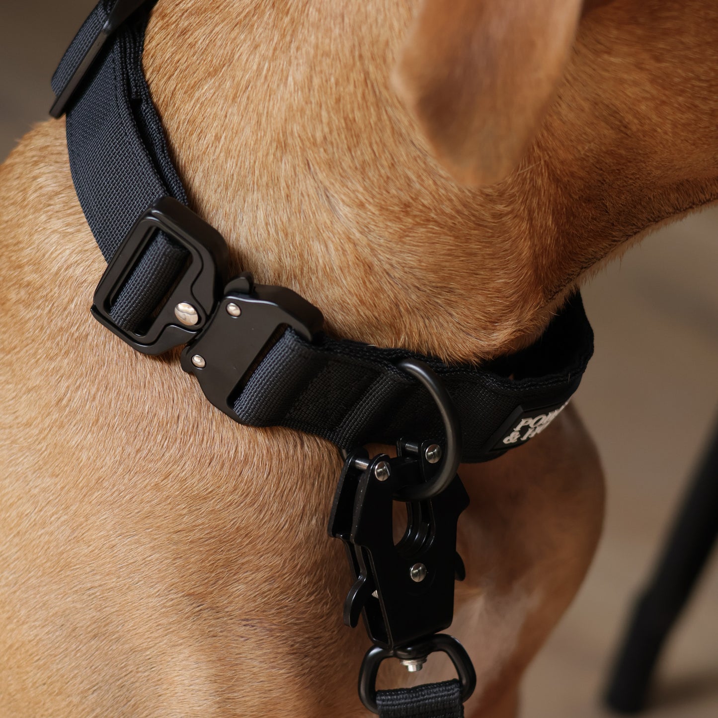 Tactical Collar + Leash Combo - Black