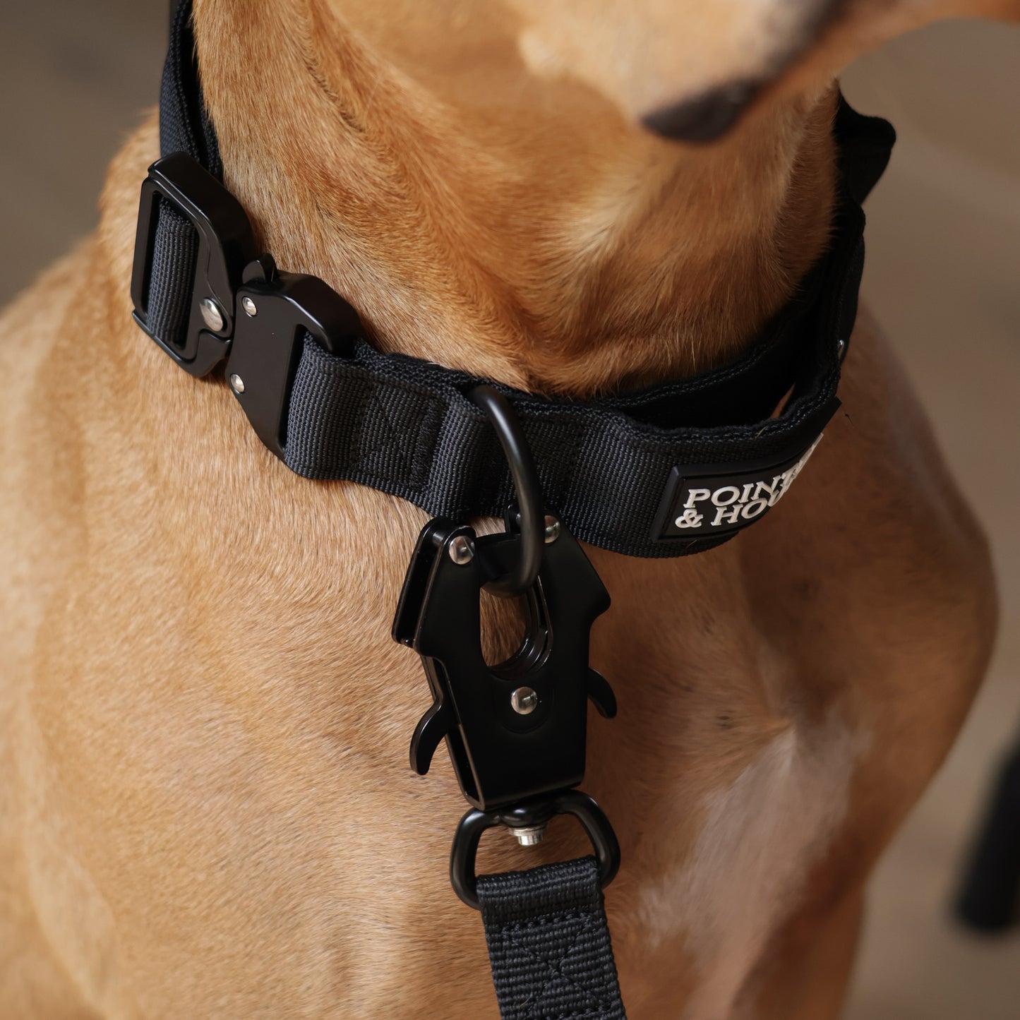 Tactical Collar - Black