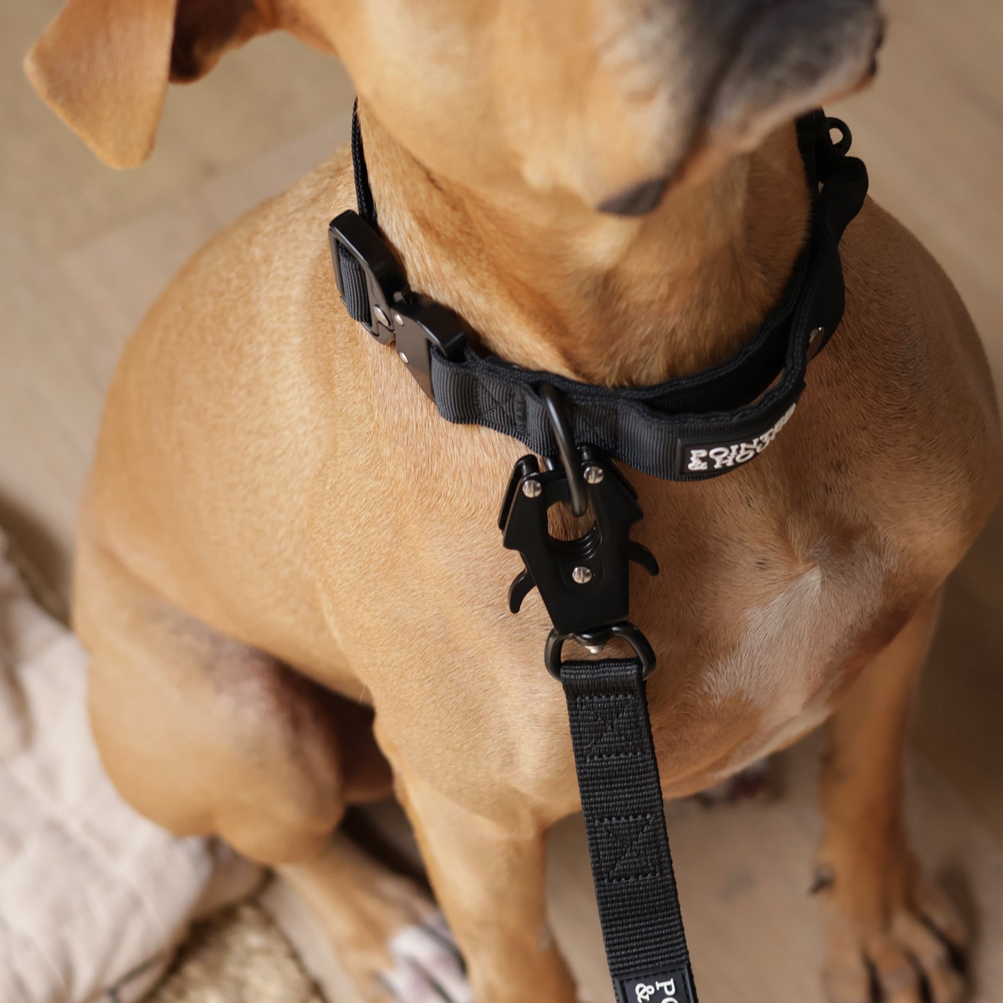Tactical Collar + Leash Combo - Black