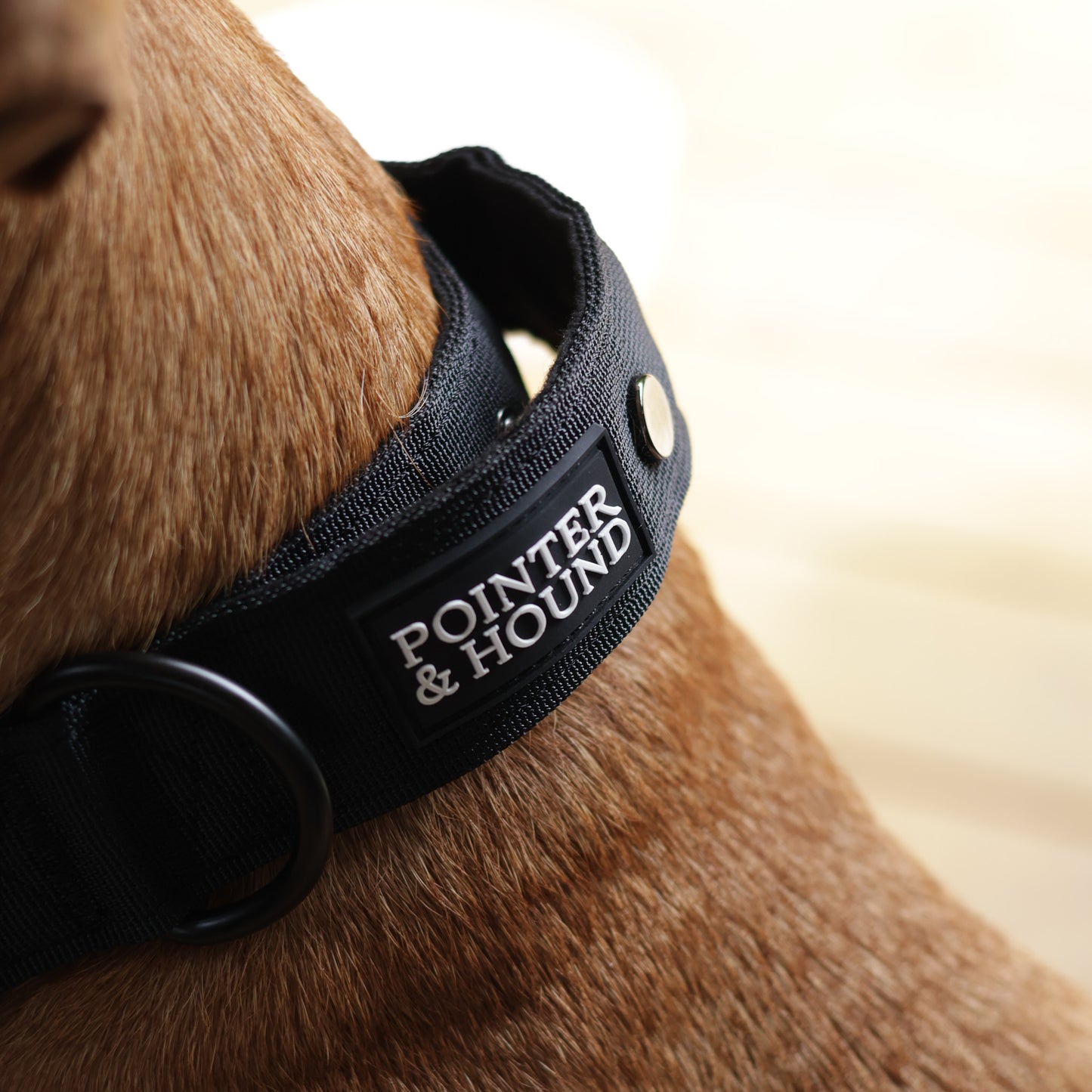 Tactical Collar - Black