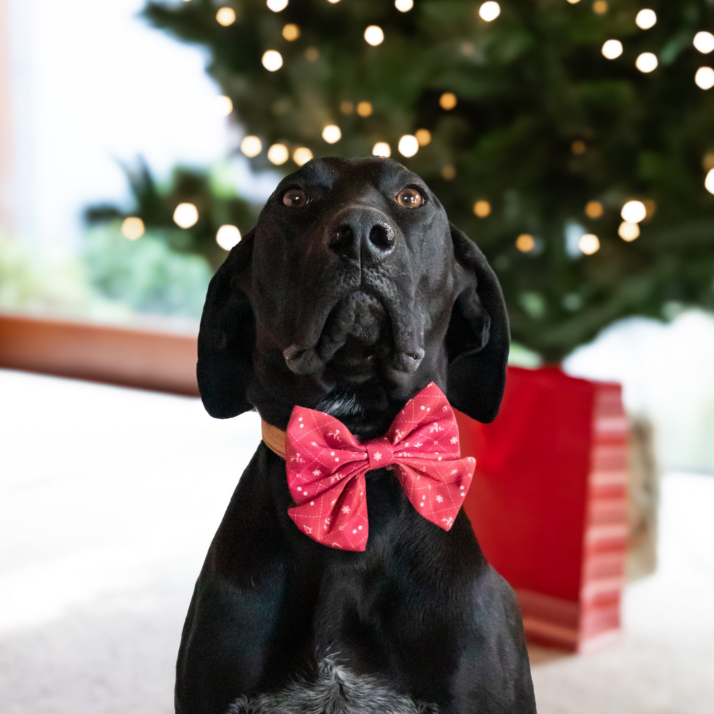 Christmas Bow Tie