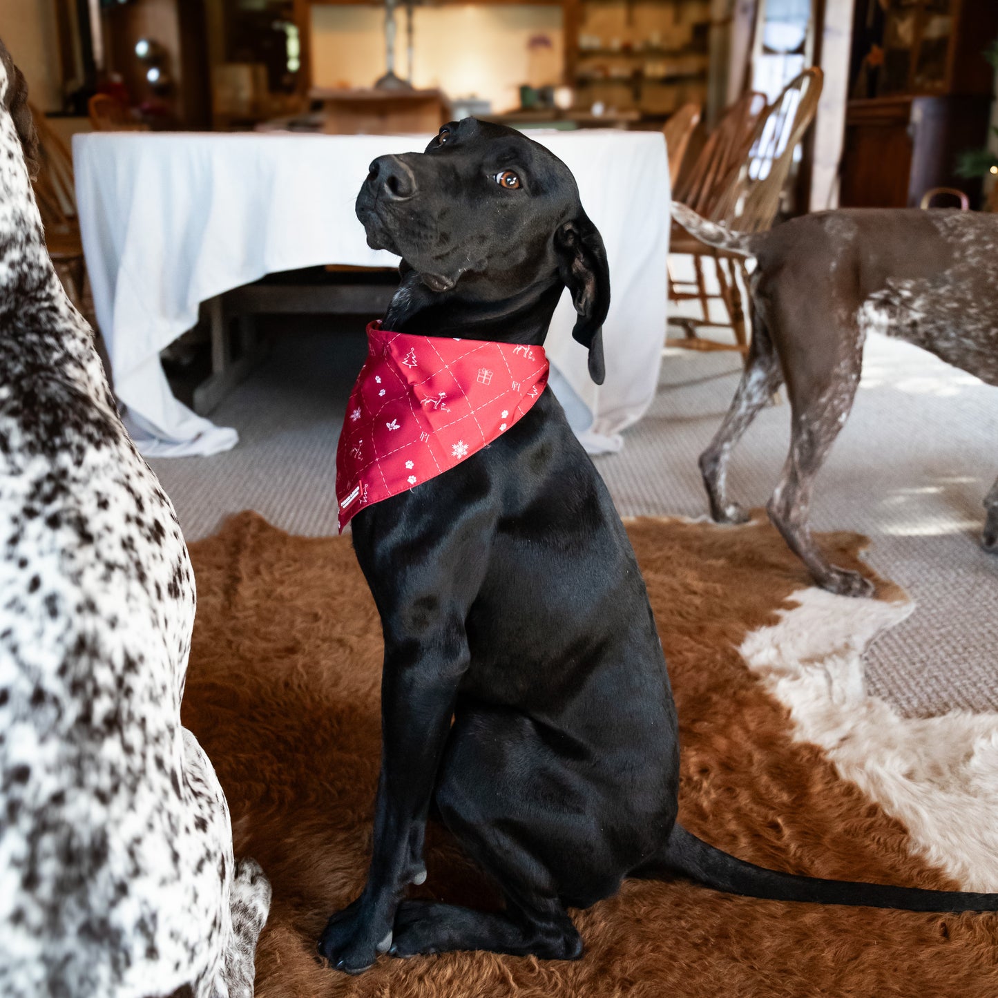 Christmas Bandana