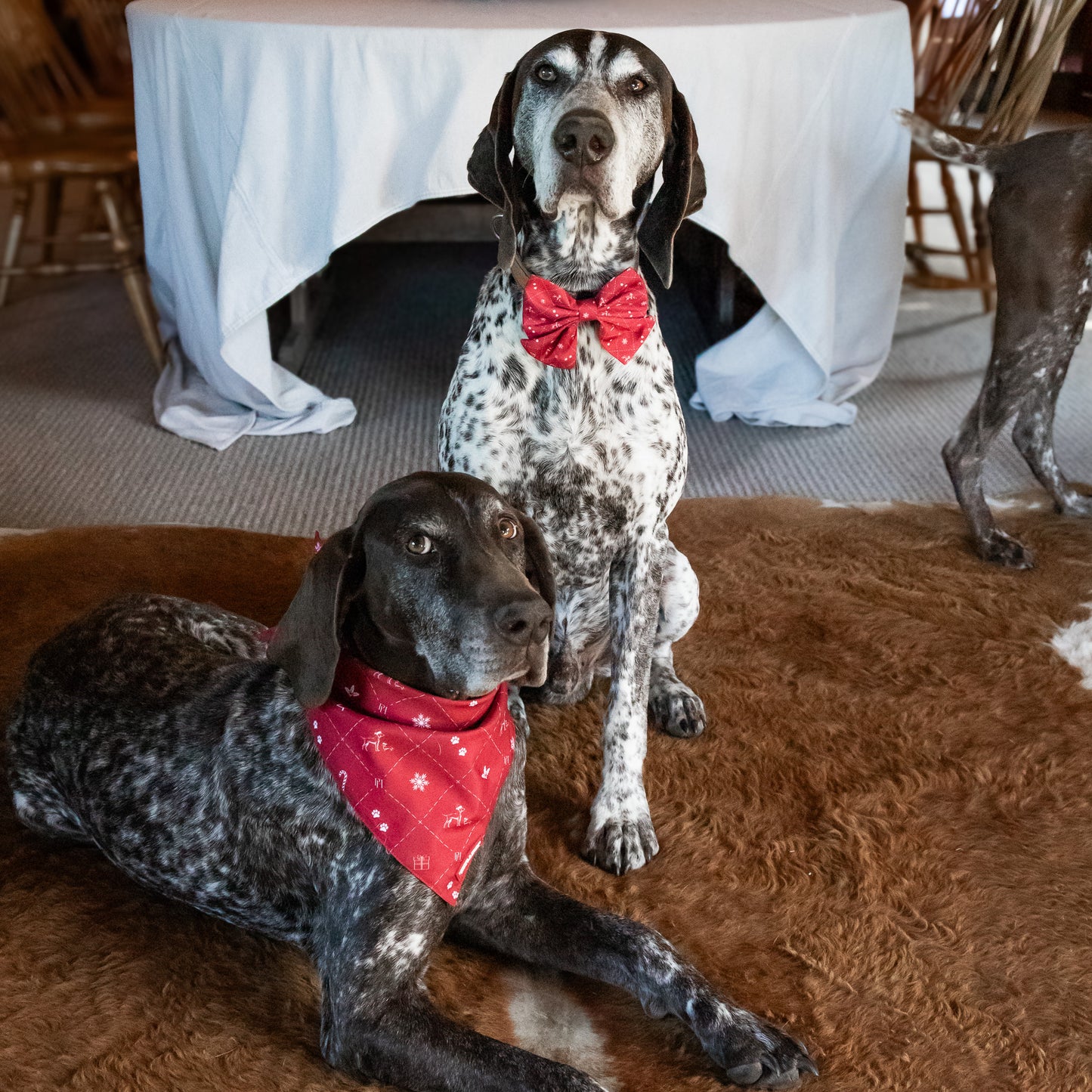 Christmas Bandana