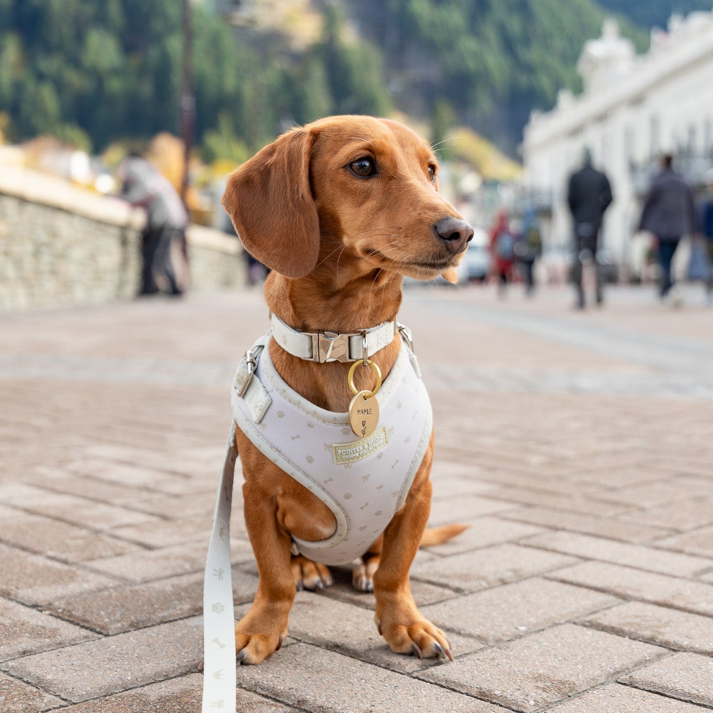 Classic Harness - Maple Print