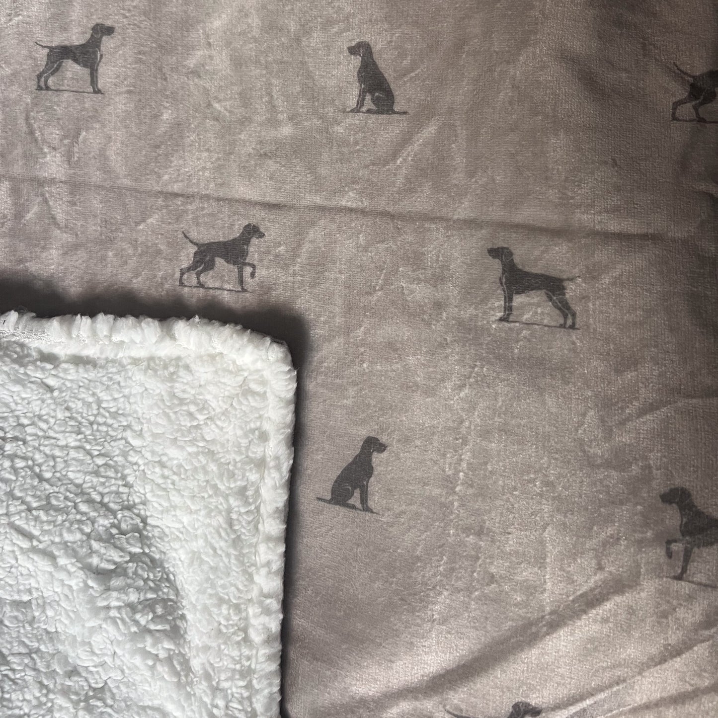 Luxury Blanket - Pointer Print