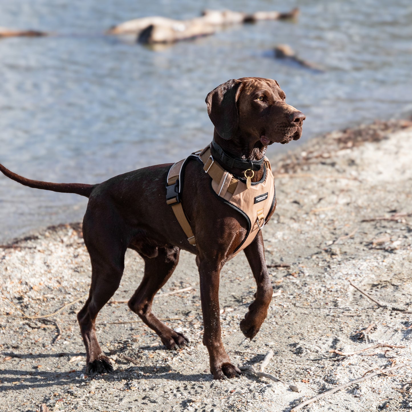 Tactical Harness - Tan