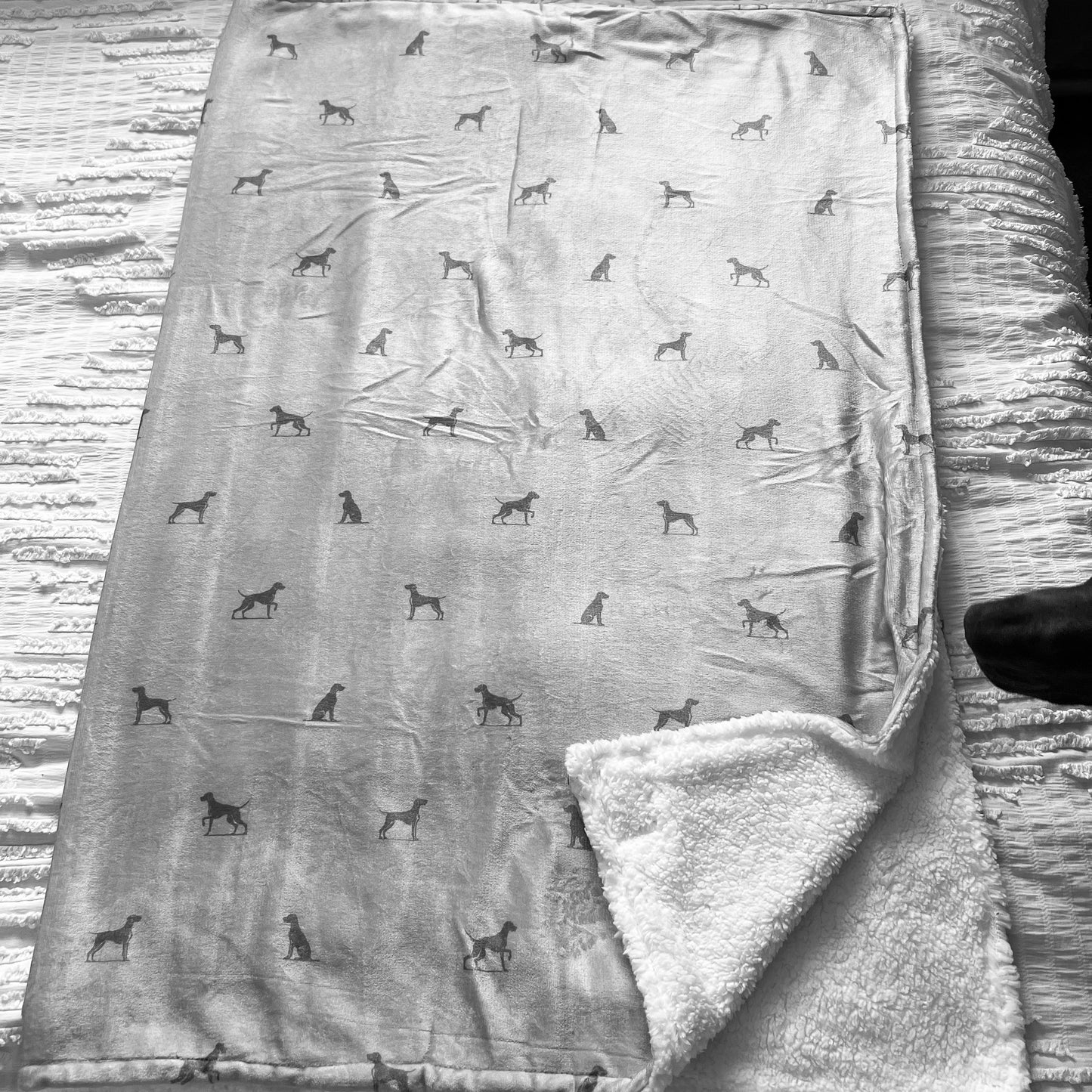 Luxury Blanket - Pointer Print