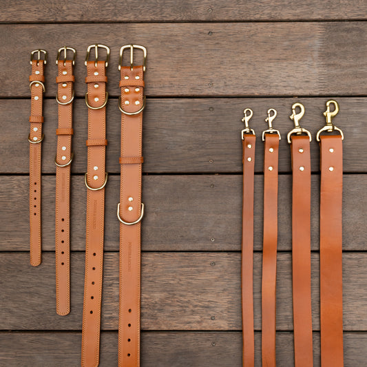 Luxe Leather Collar & Leash set - Tan