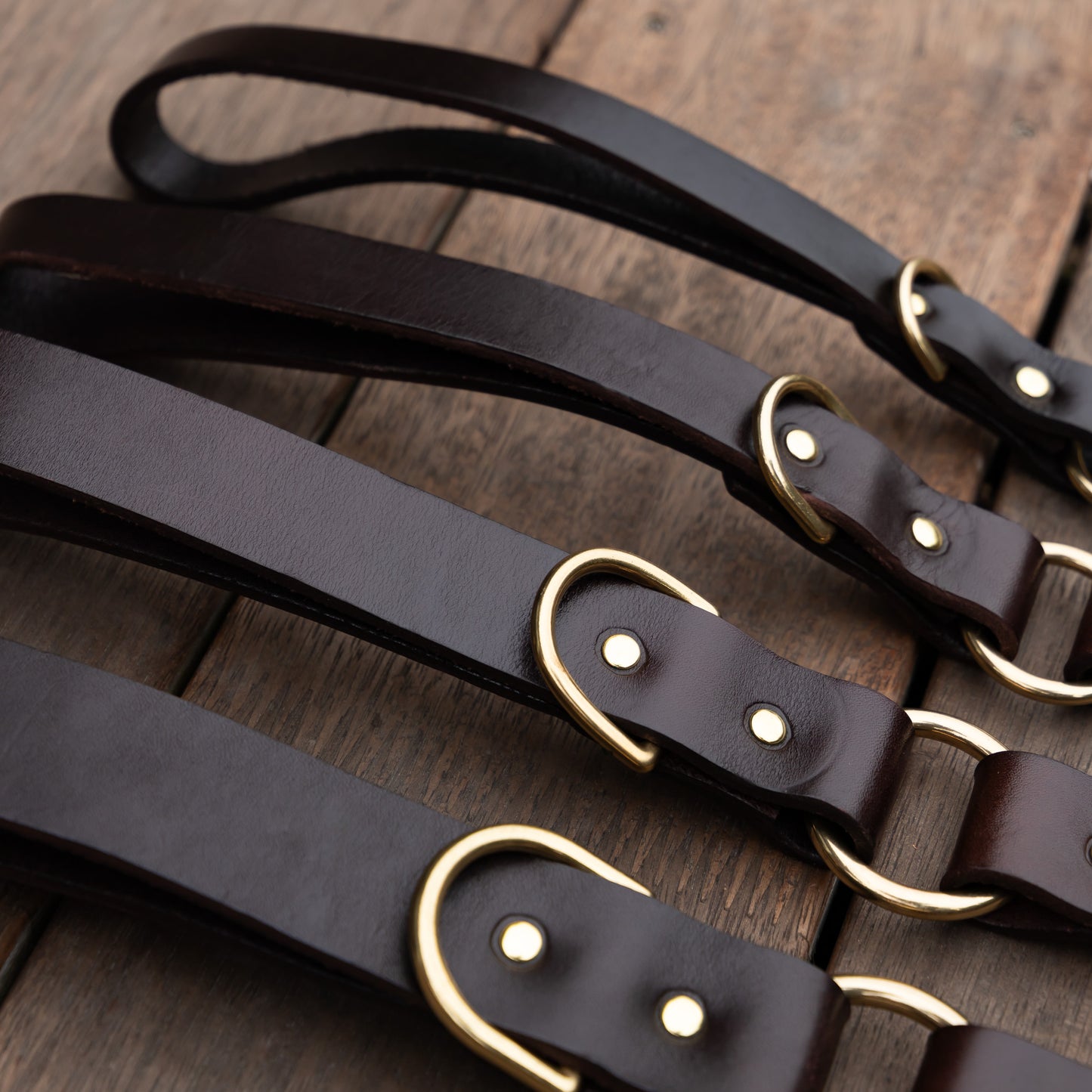 Leather Leash - Rich Brown