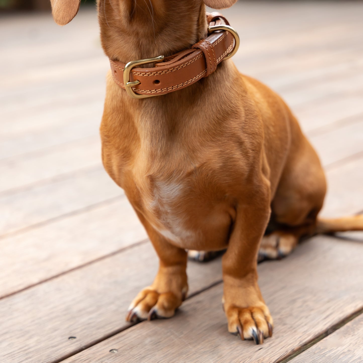 Luxe Leather Collar - Tan