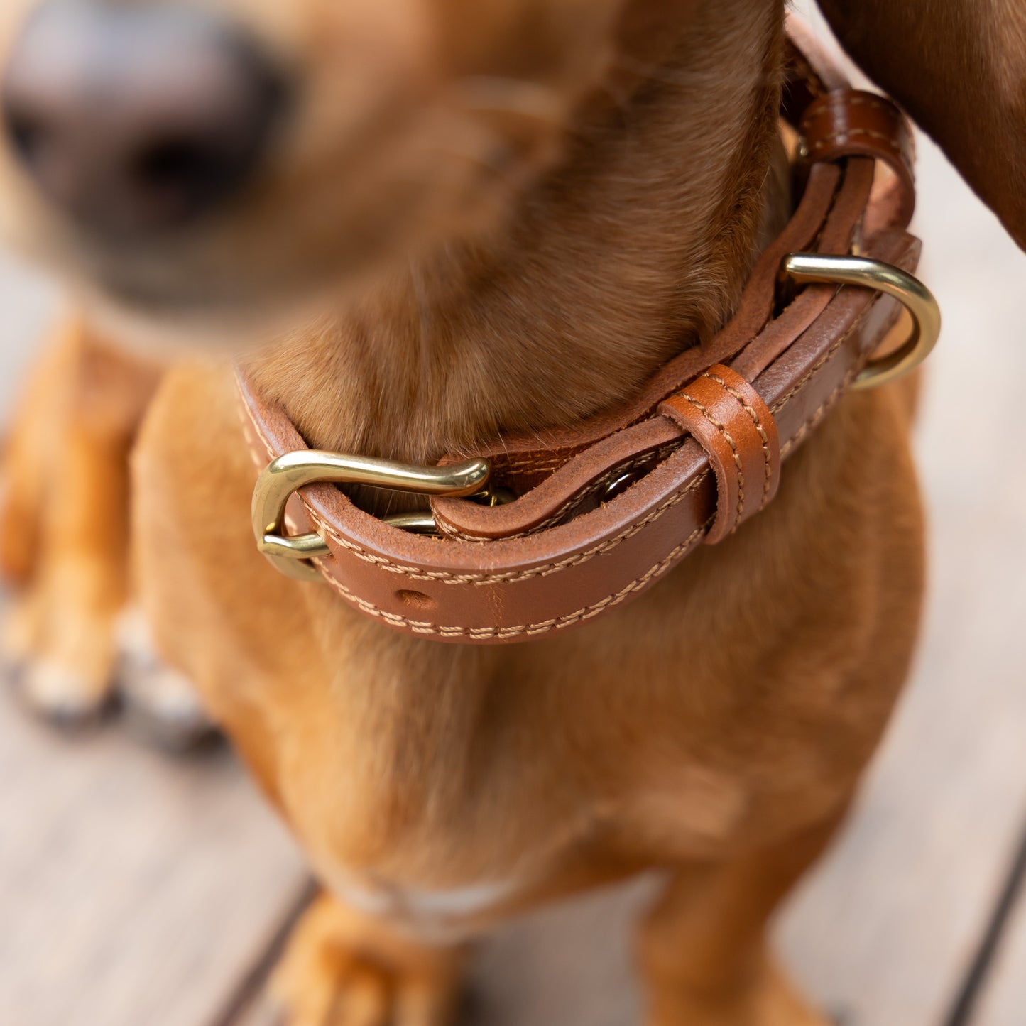 Luxe Leather Collar - Tan