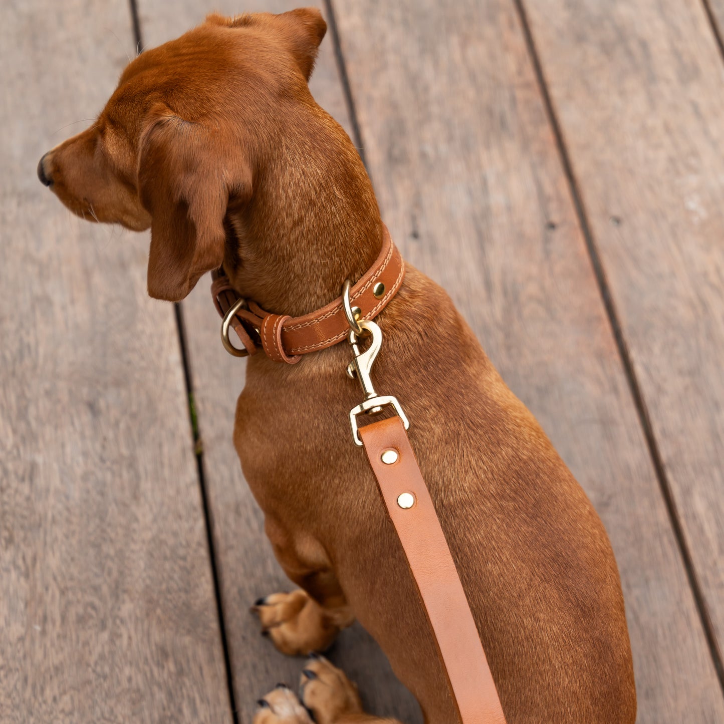 Luxe Leather Collar - Tan