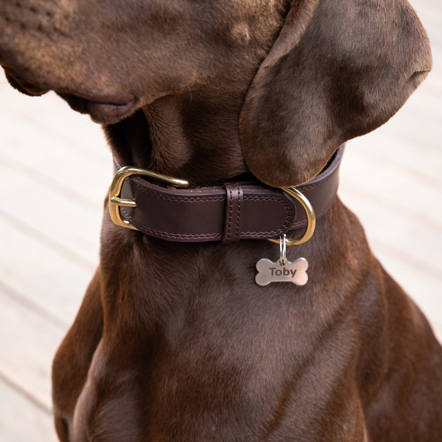 Luxe Leather Collar & Leash set - Rich Brown