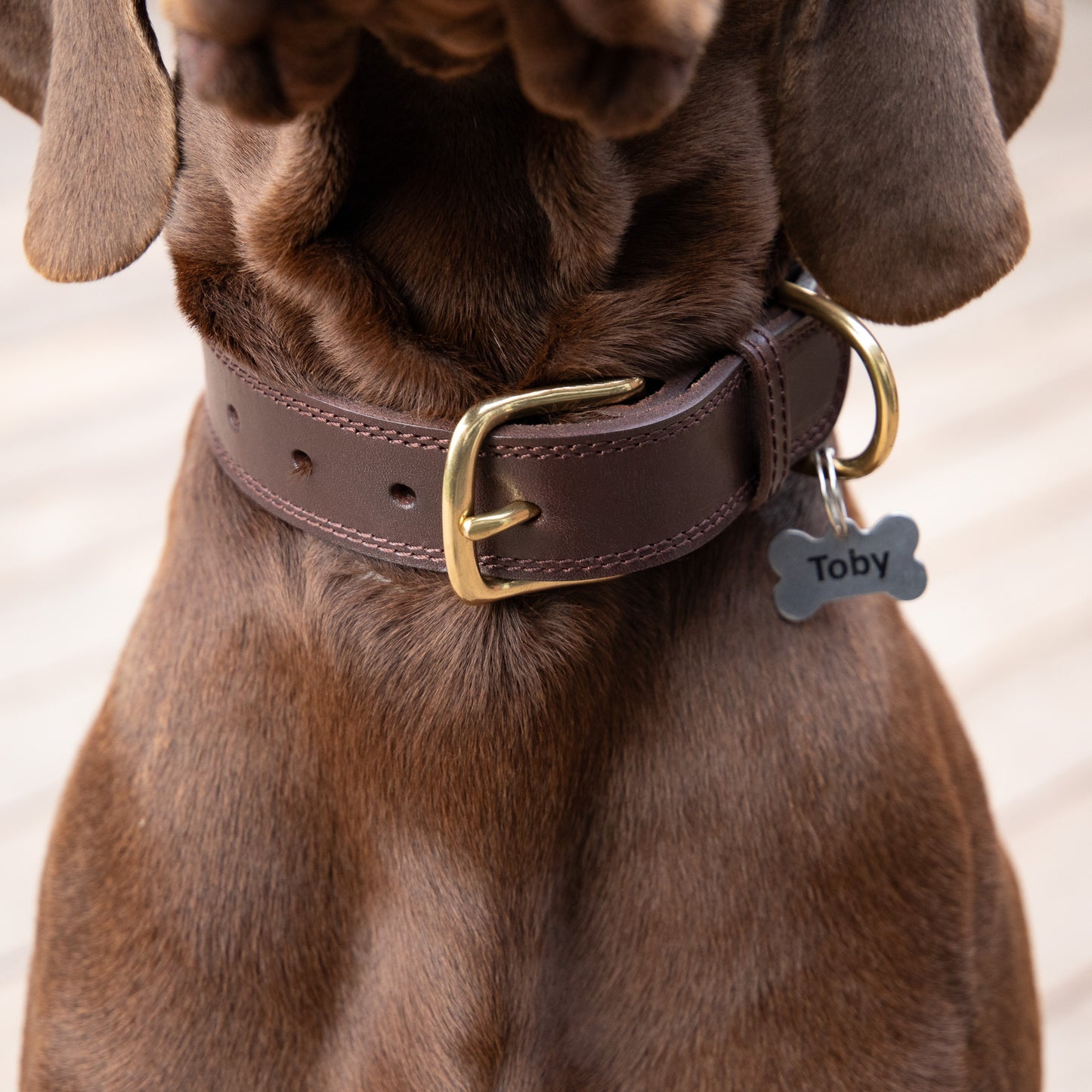 Luxe Leather Collar & Leash set - Rich Brown