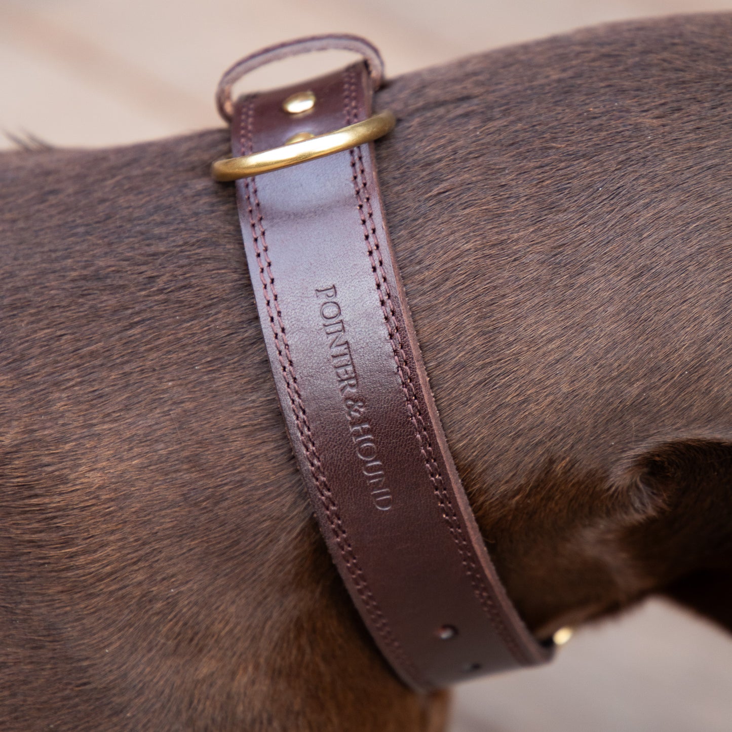 Luxe Leather Collar & Leash set - Rich Brown