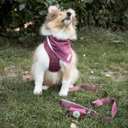 Walk Set - Plum