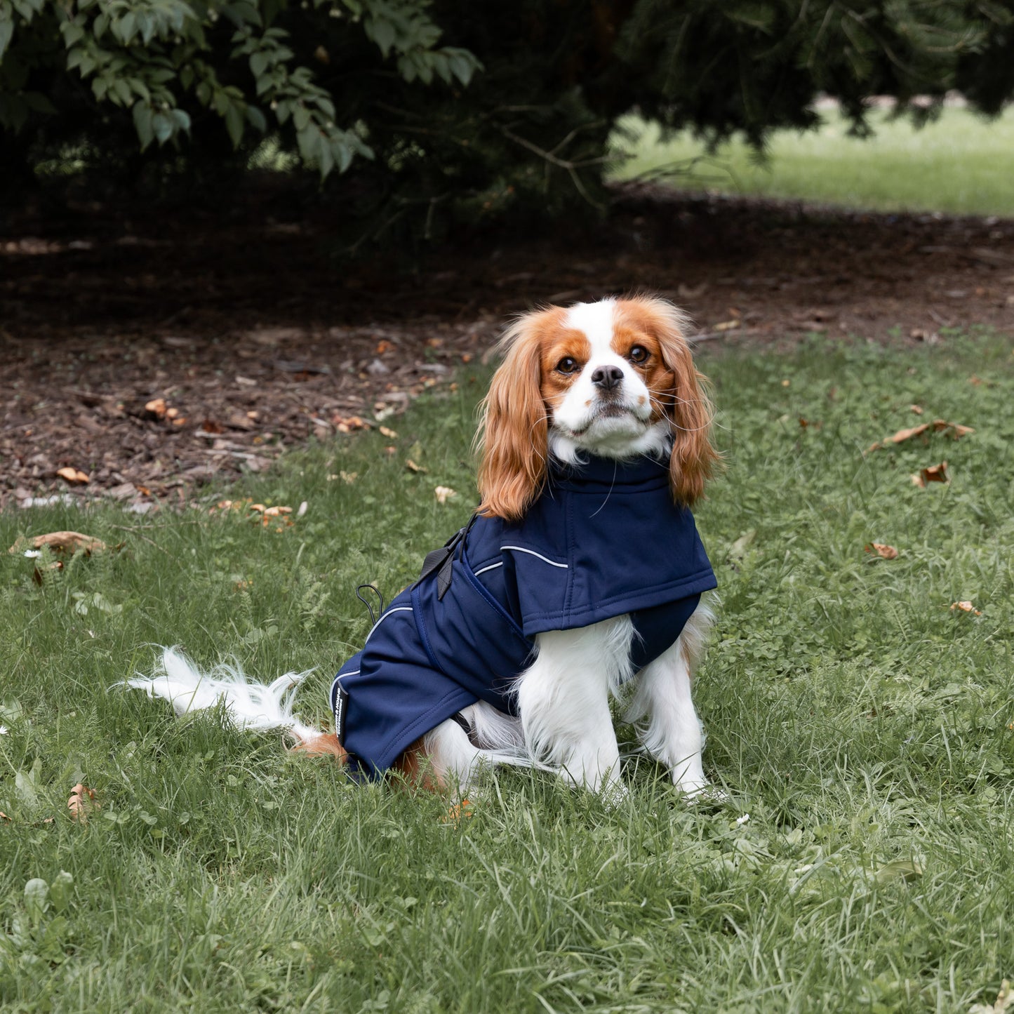 Waterproof Jacket - Navy