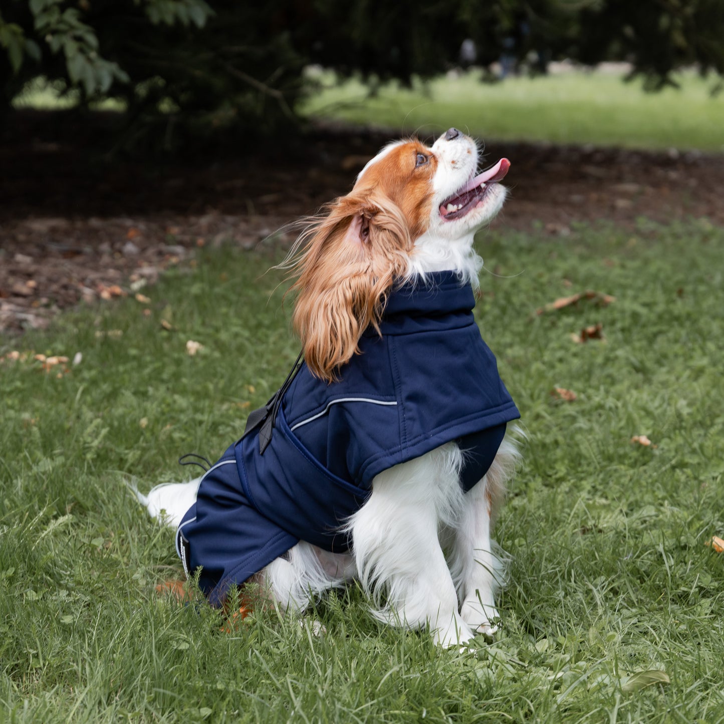 Waterproof Jacket - Navy