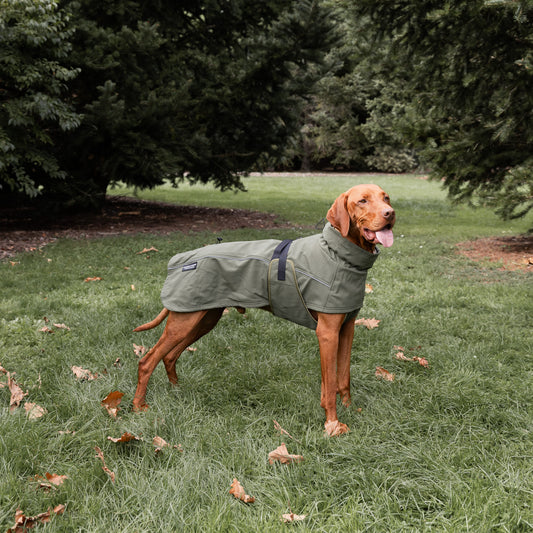 Waterproof Jacket - Green