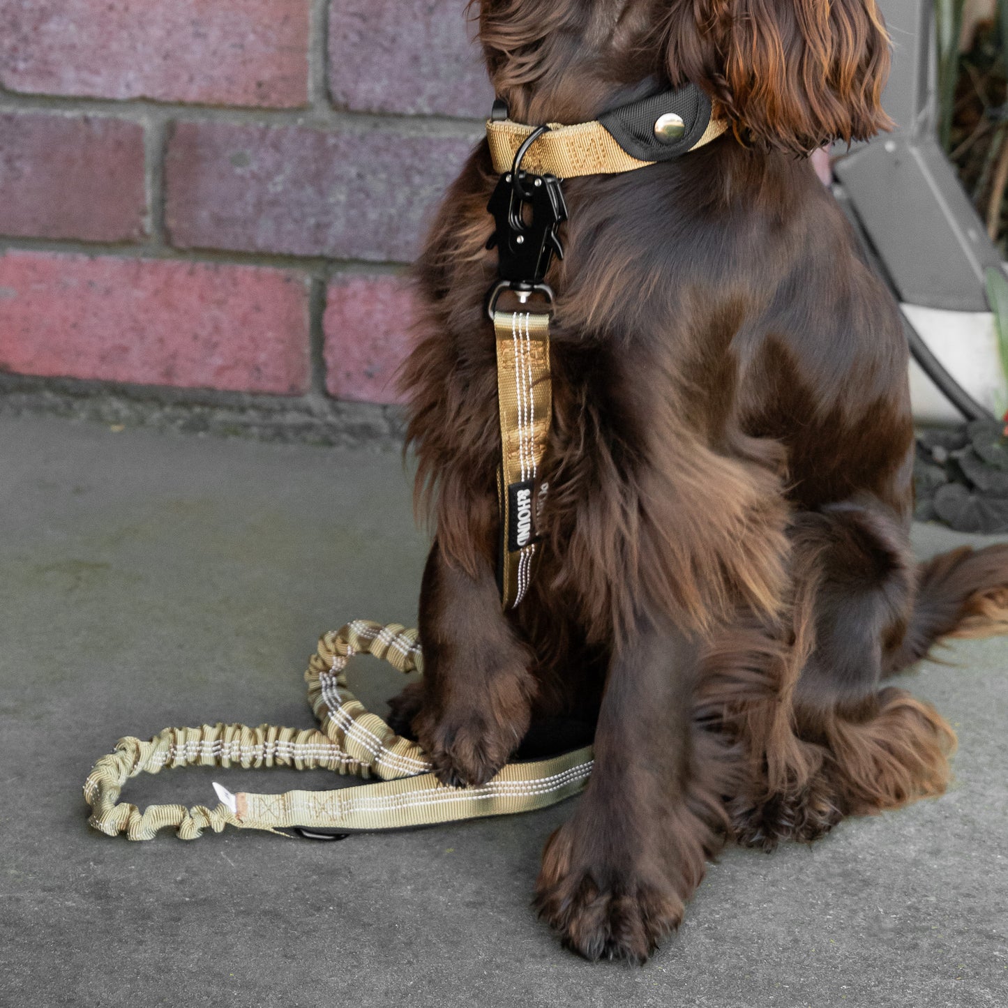 Tactical Leash - Tan