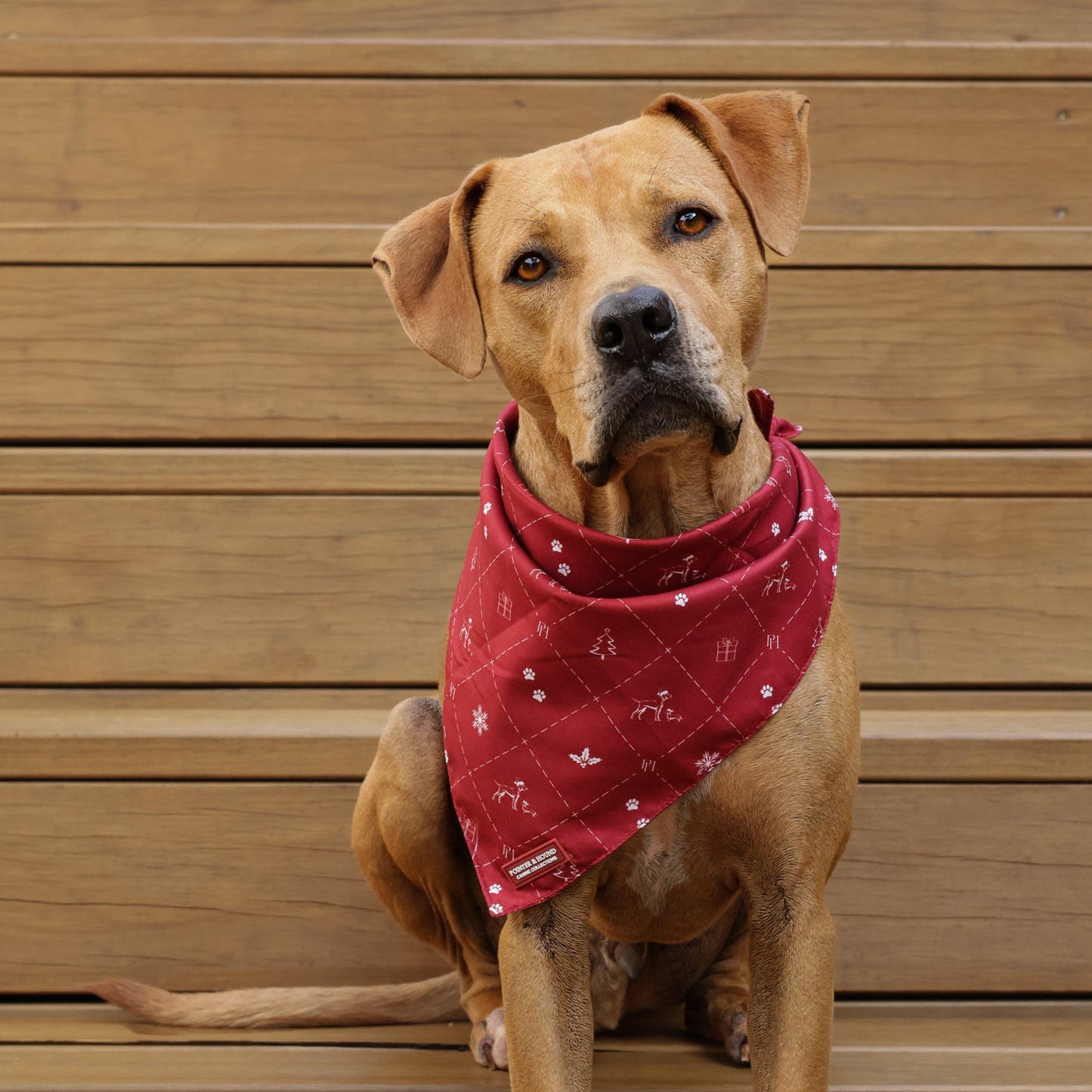 Christmas Bandana