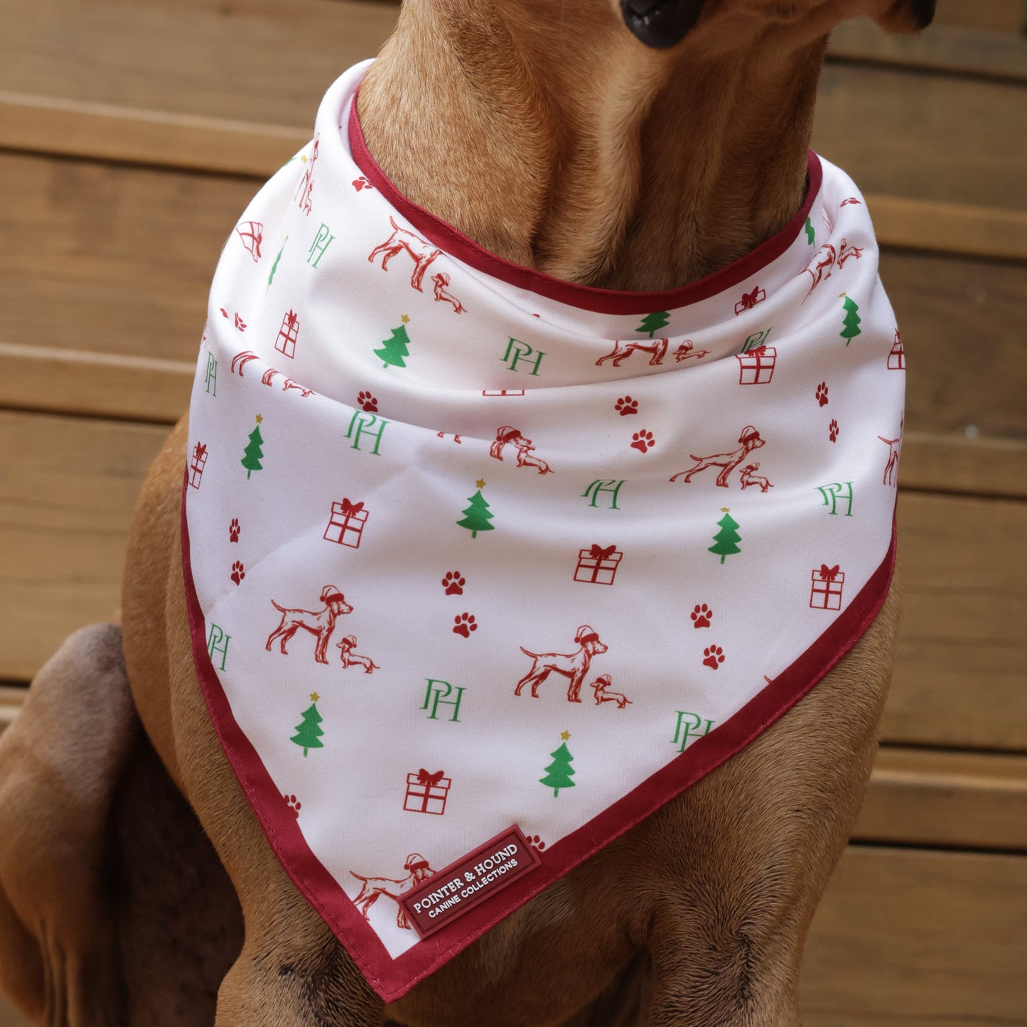 Christmas Bandana