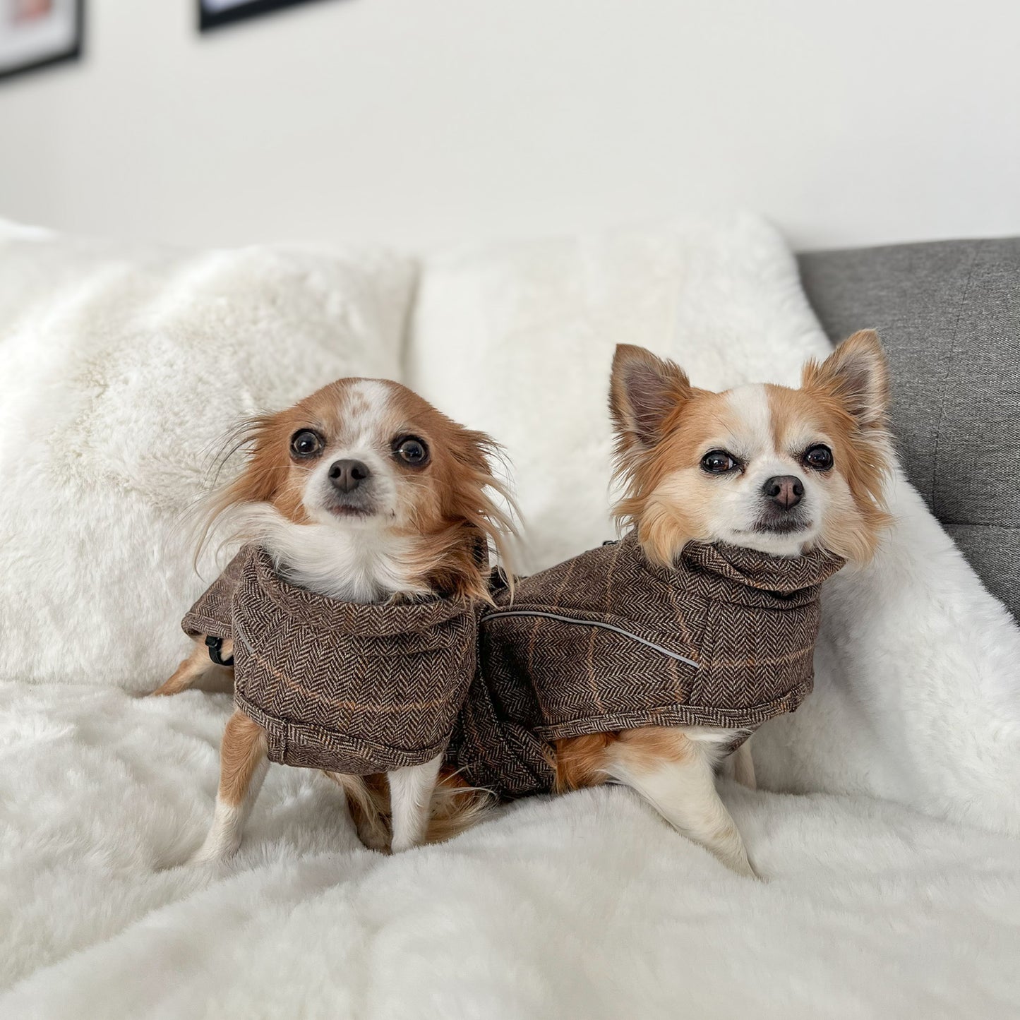 Wool-Blend Coat