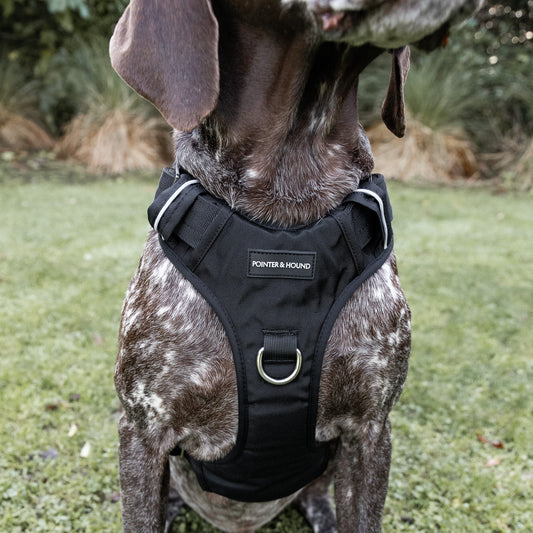 Tactical Harness 2.0 - Black