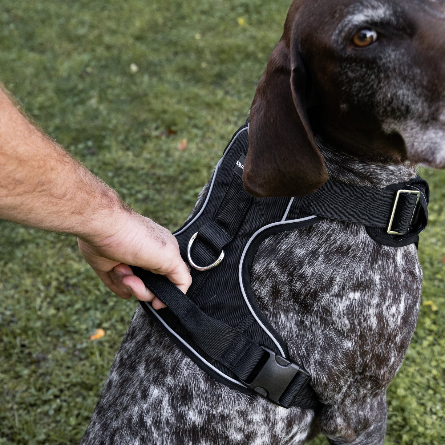 Tactical Harness 2.0 - Black