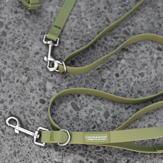 Hands -Free Leash - Green