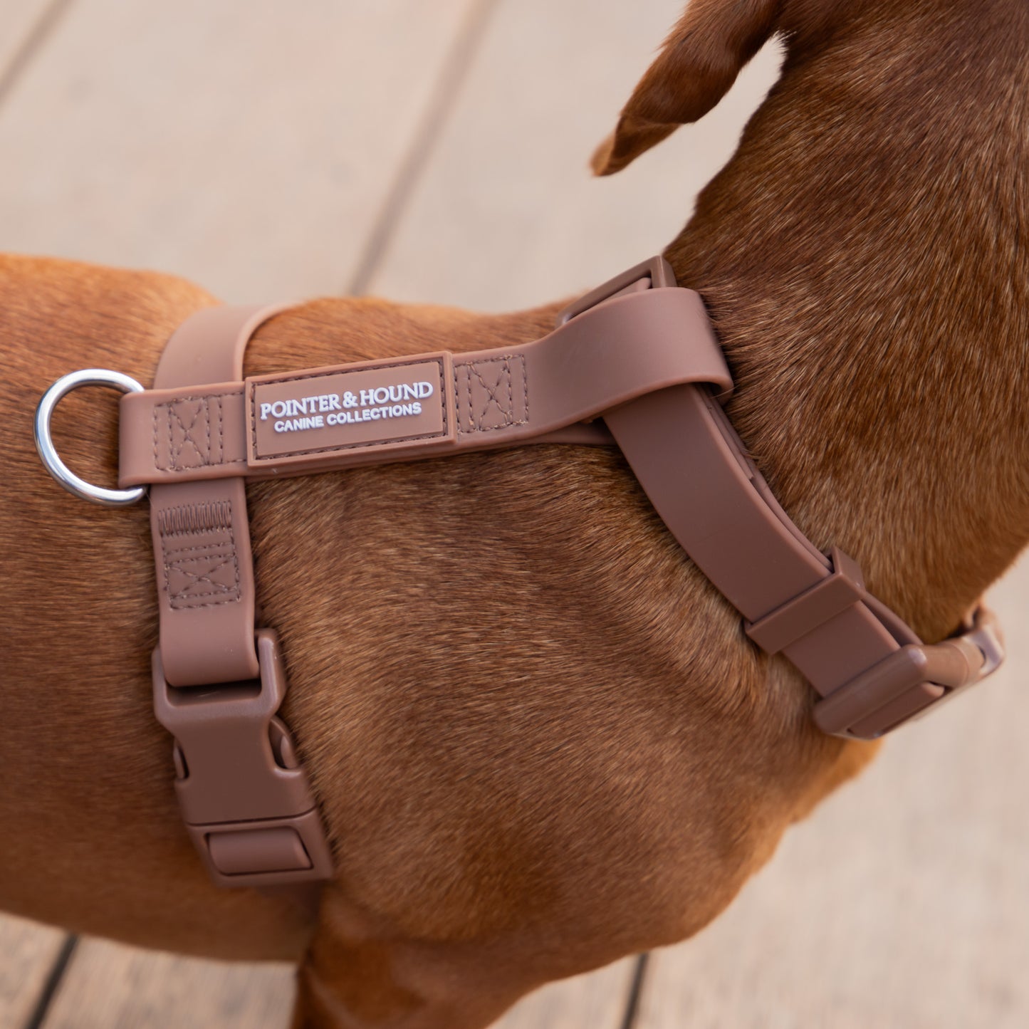 Waterproof Harness + Leash Combo - Brown