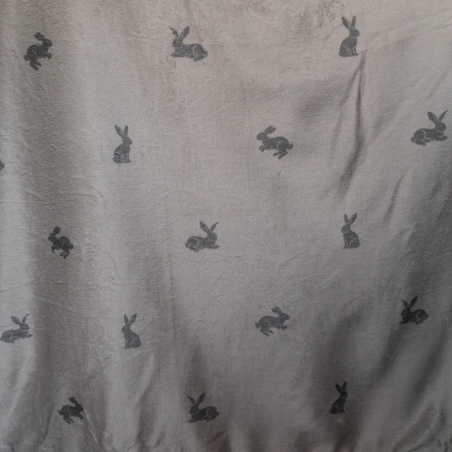 Luxury Blanket - Bunny Print