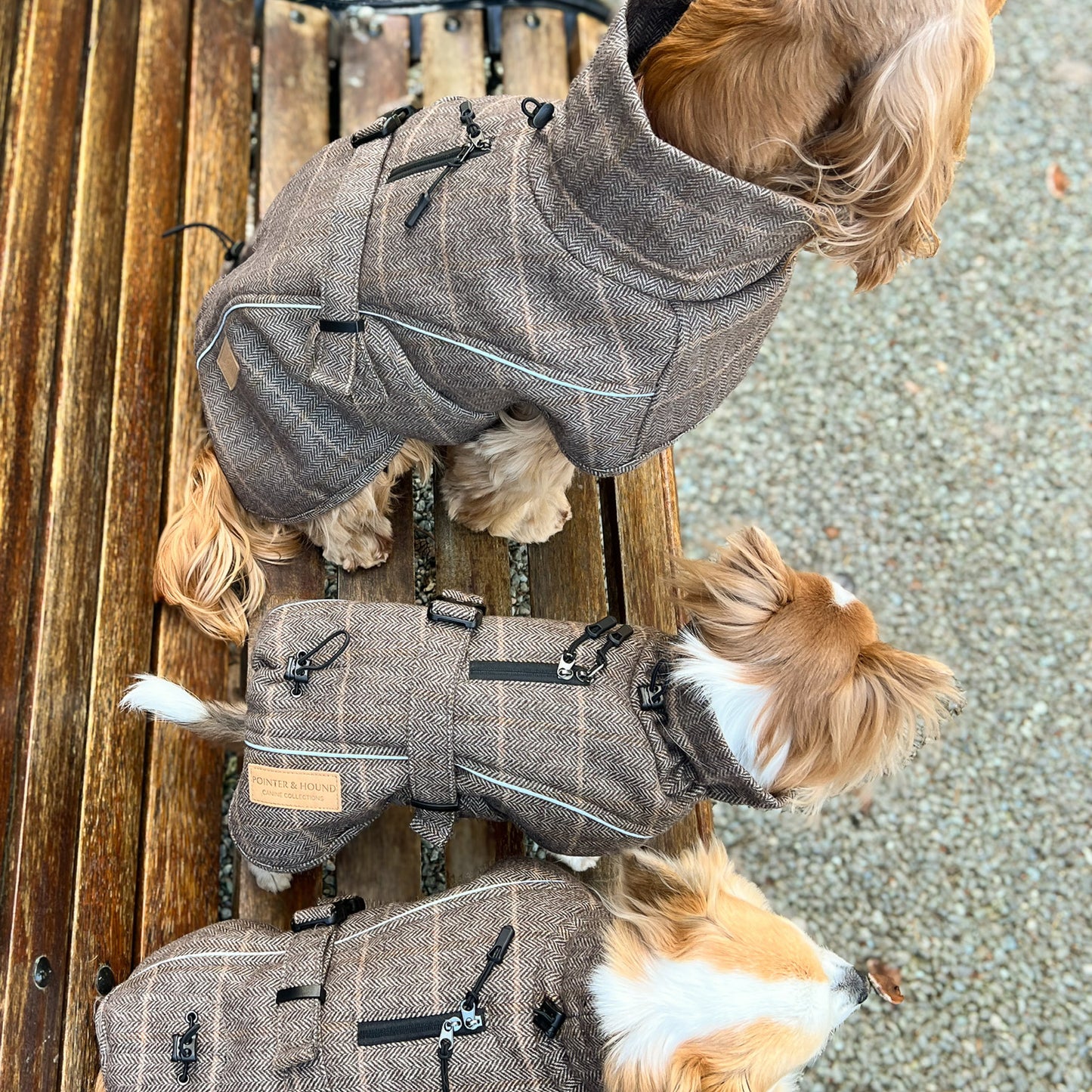 Wool-Blend Coat