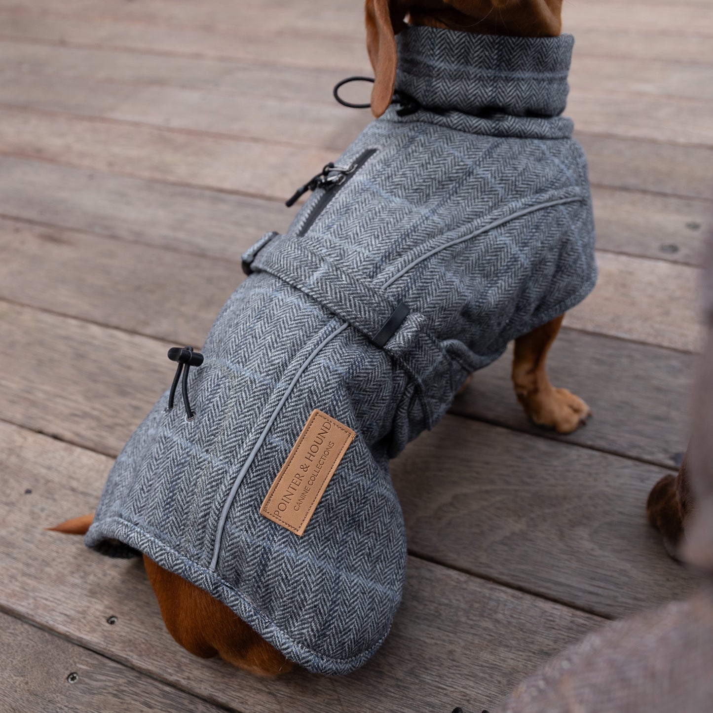 Wool-Blend Jacket