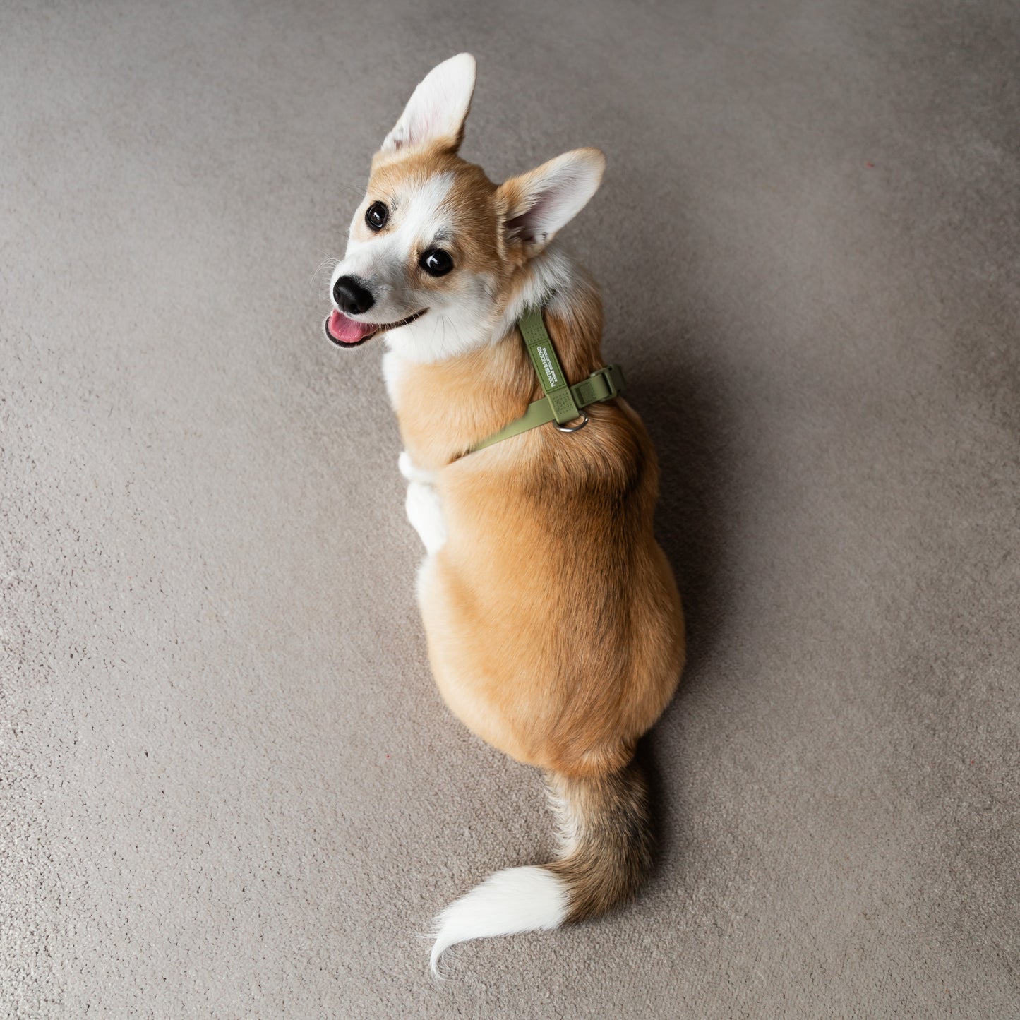 Waterproof H Strap Harness - Green