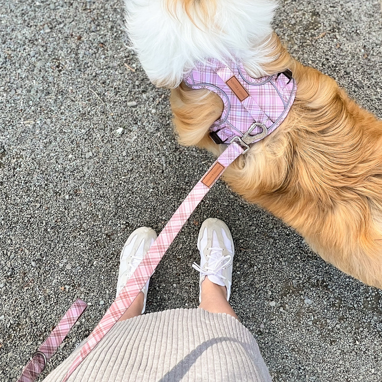 Signature Harness - Pink Tartan