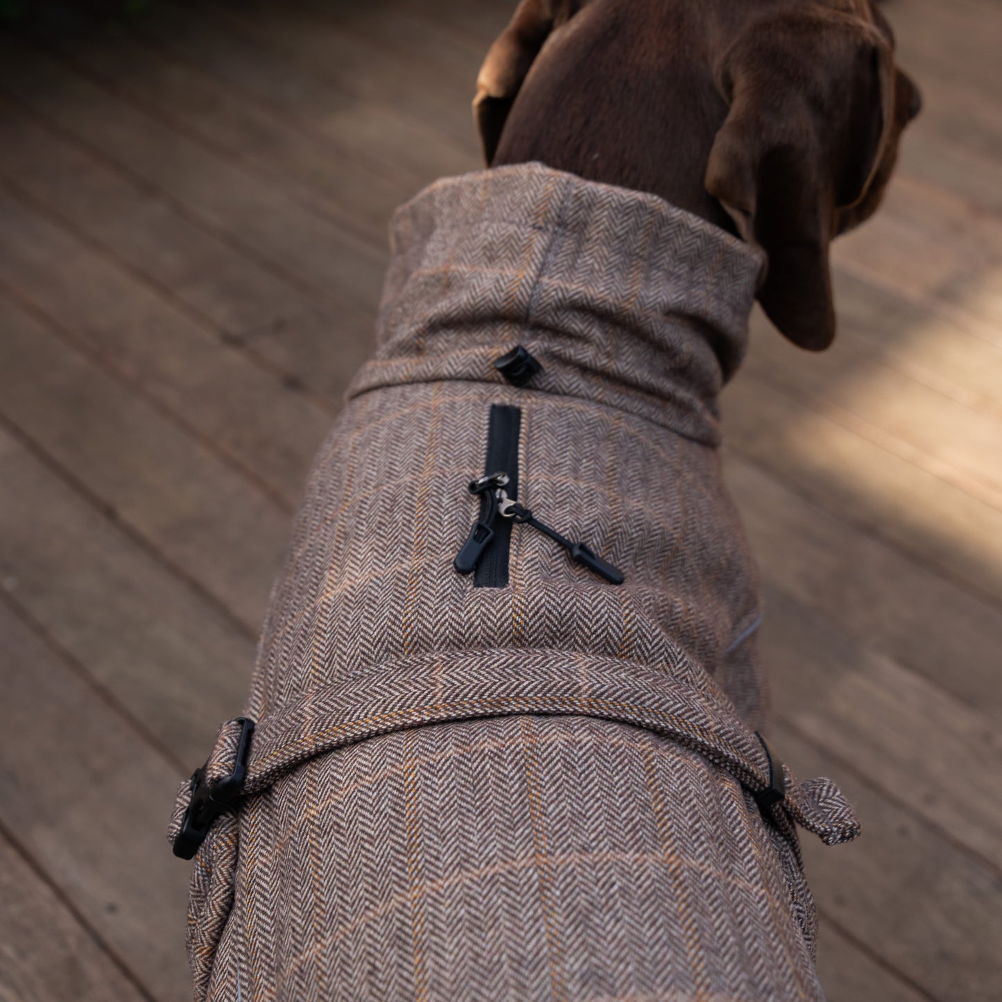 Wool-Blend Jacket